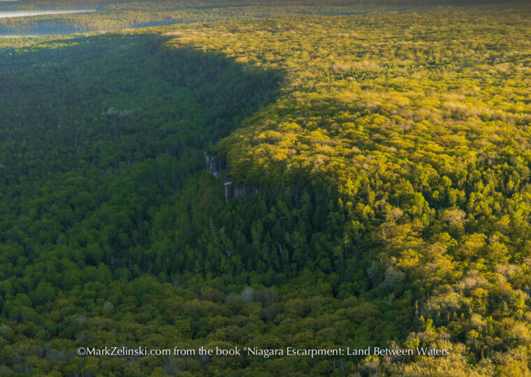 EBC-cupandsaucer- markzelinski.com-1