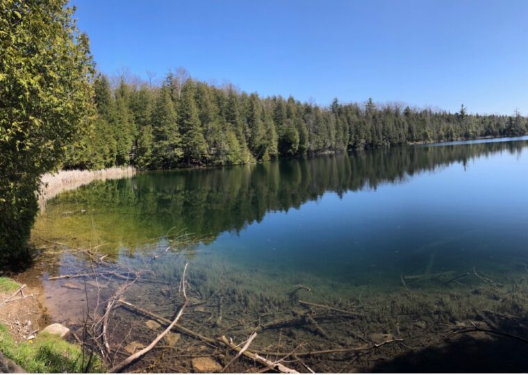 CE5DAC50-DC10-4AA3-BFB7-9493AAB96A86